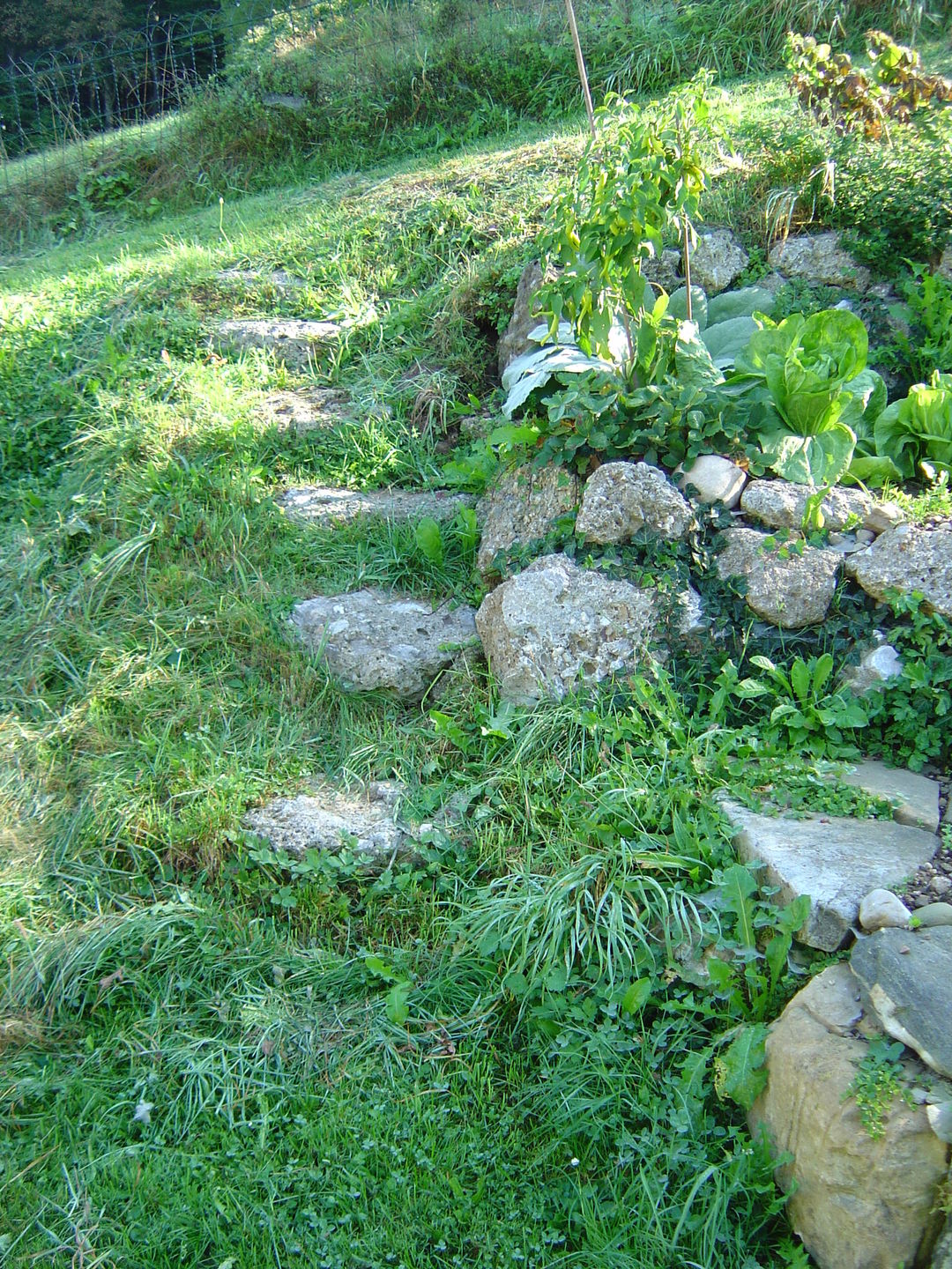 Gartengestaltung mit Naturstein Gartengestaltung